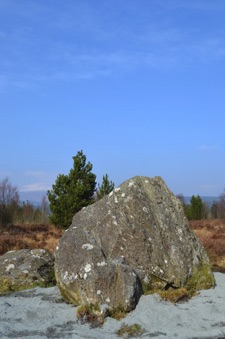 Bruce Stone, Dumfries and Galloway
